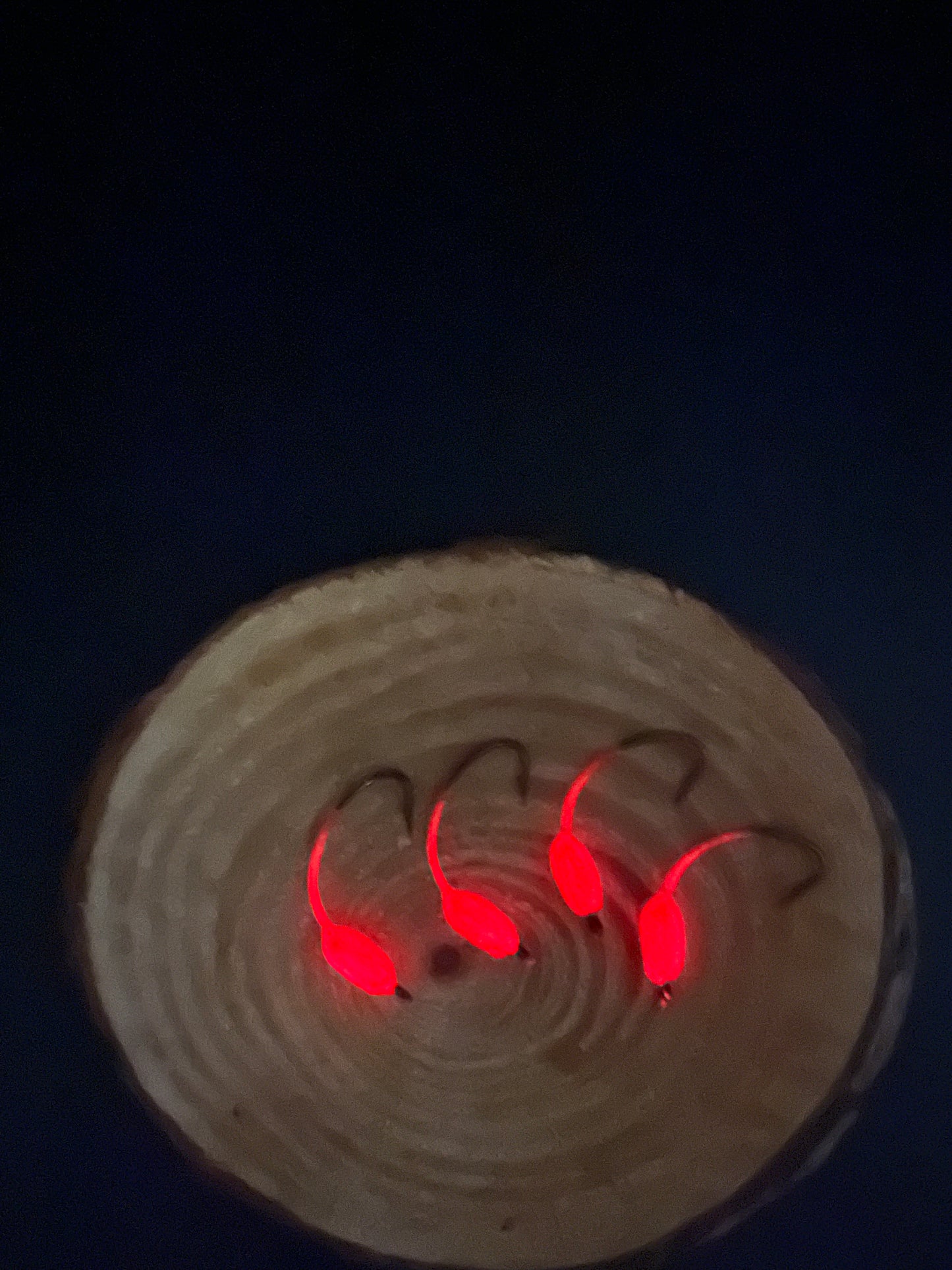 Jig-O-Bite Jig - Glow Red