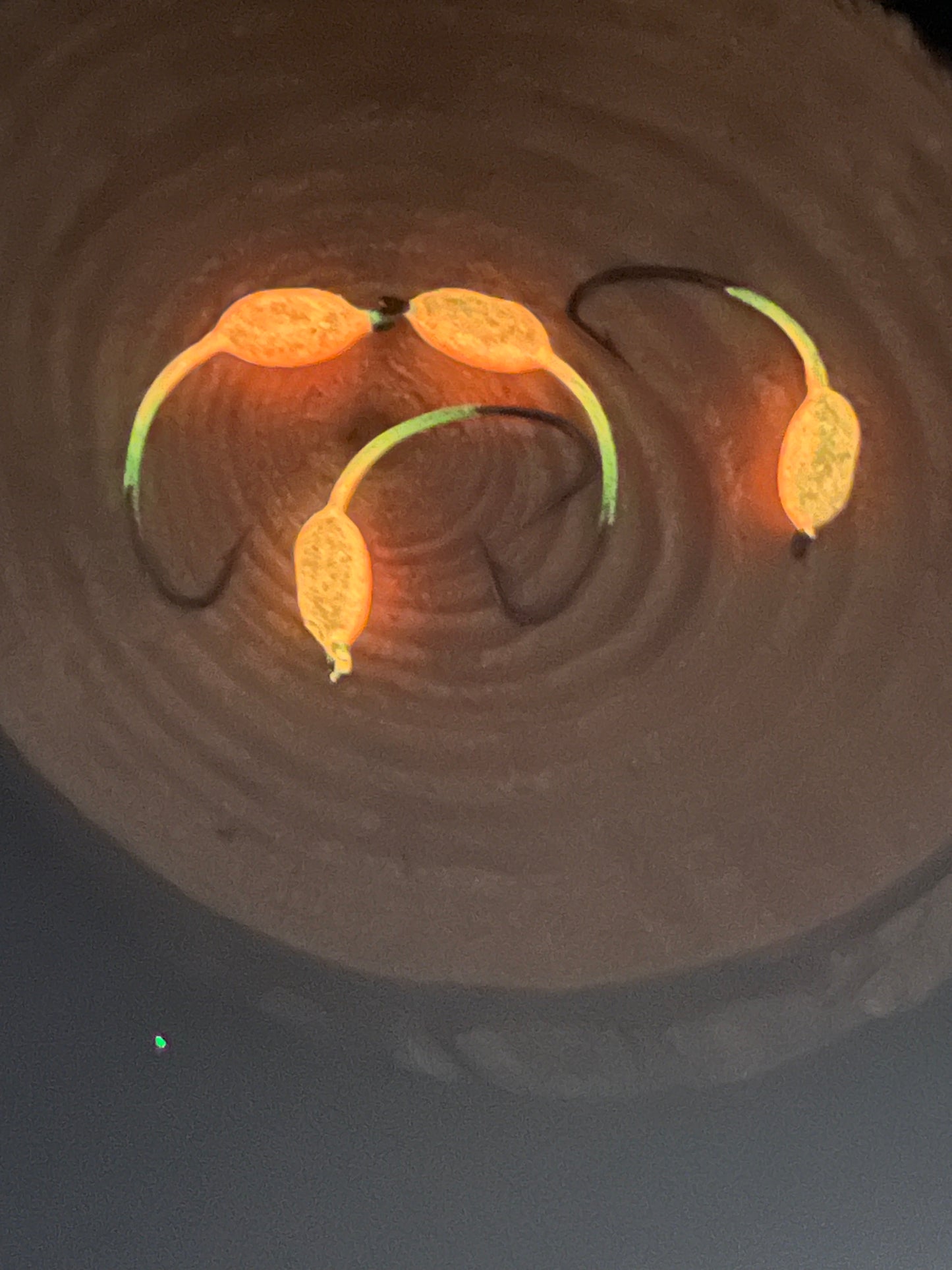 Jig-O-Bit Jigs - Glow Orange