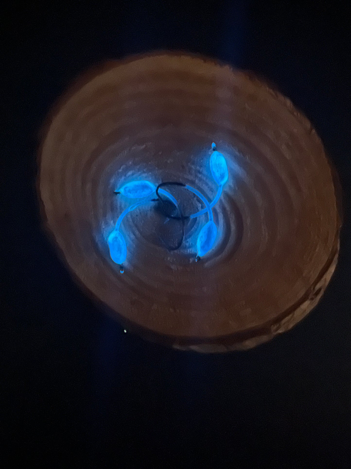 Jig-O-Bite Jig - Glow Blue