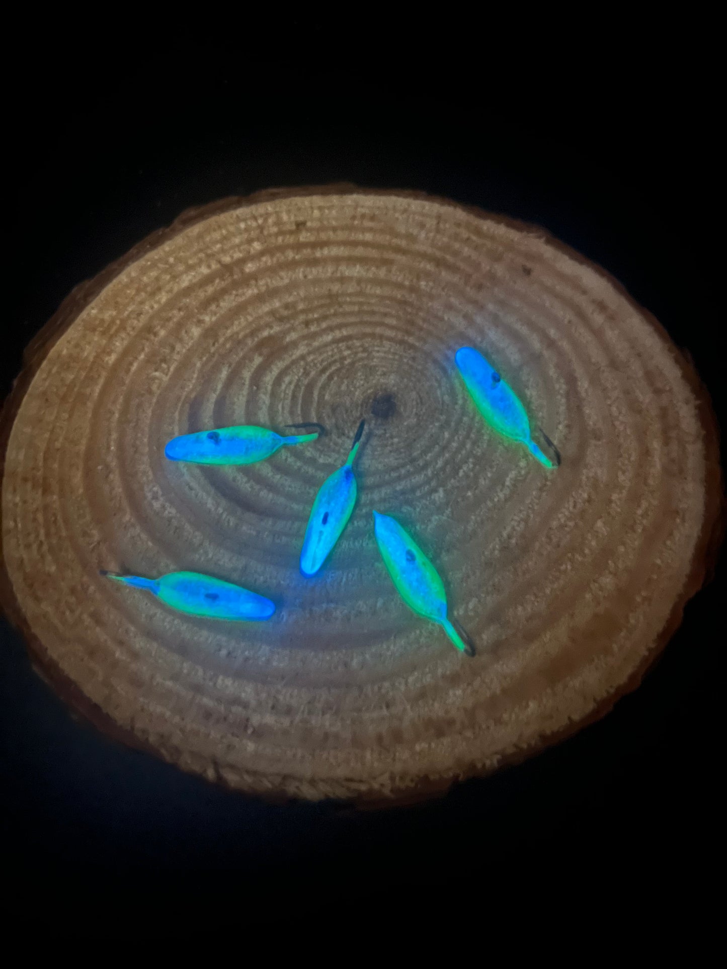 Tetr-Totr Jig - White Glow/Glow Blue
