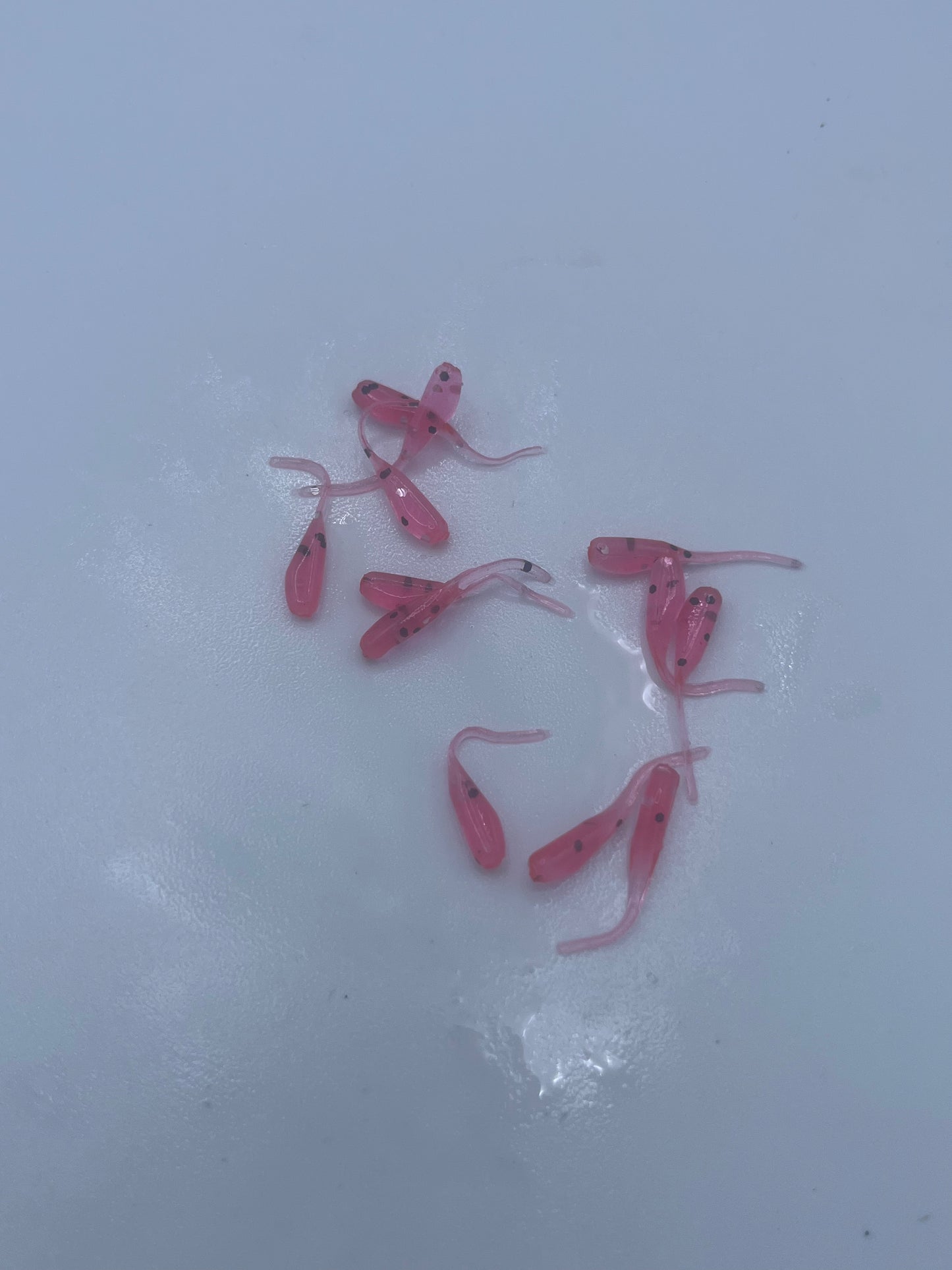 Stinger Tail - Pink
