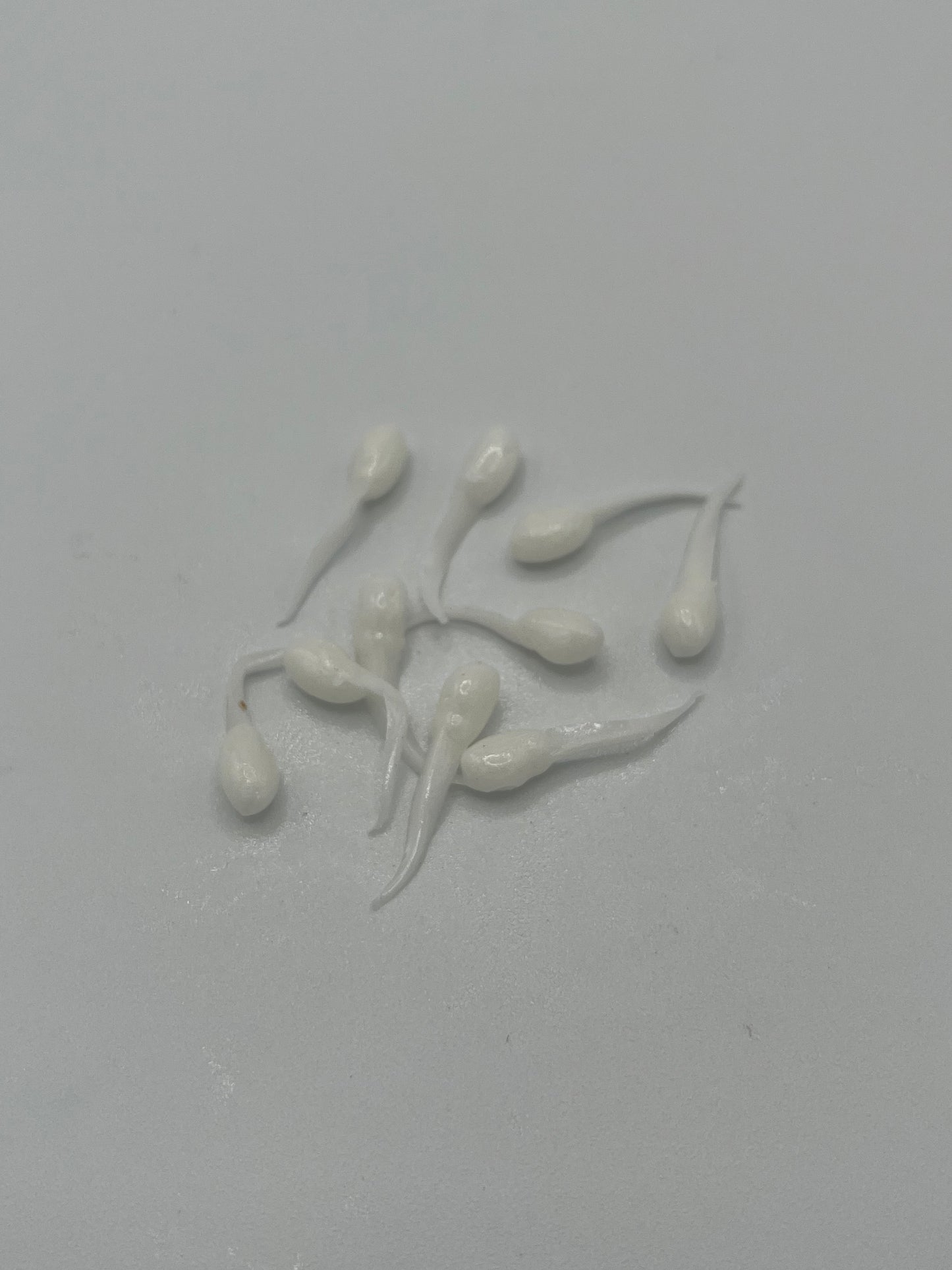 Tadpoles - White